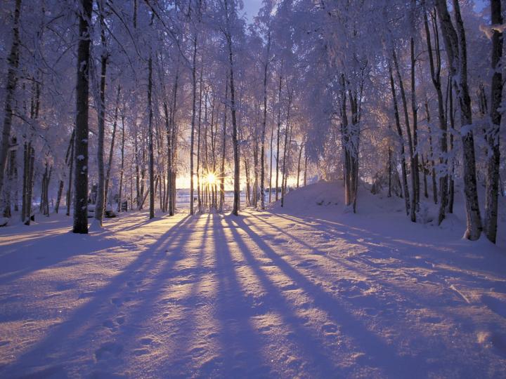 Winter solstice sun peeking through the trees with snow