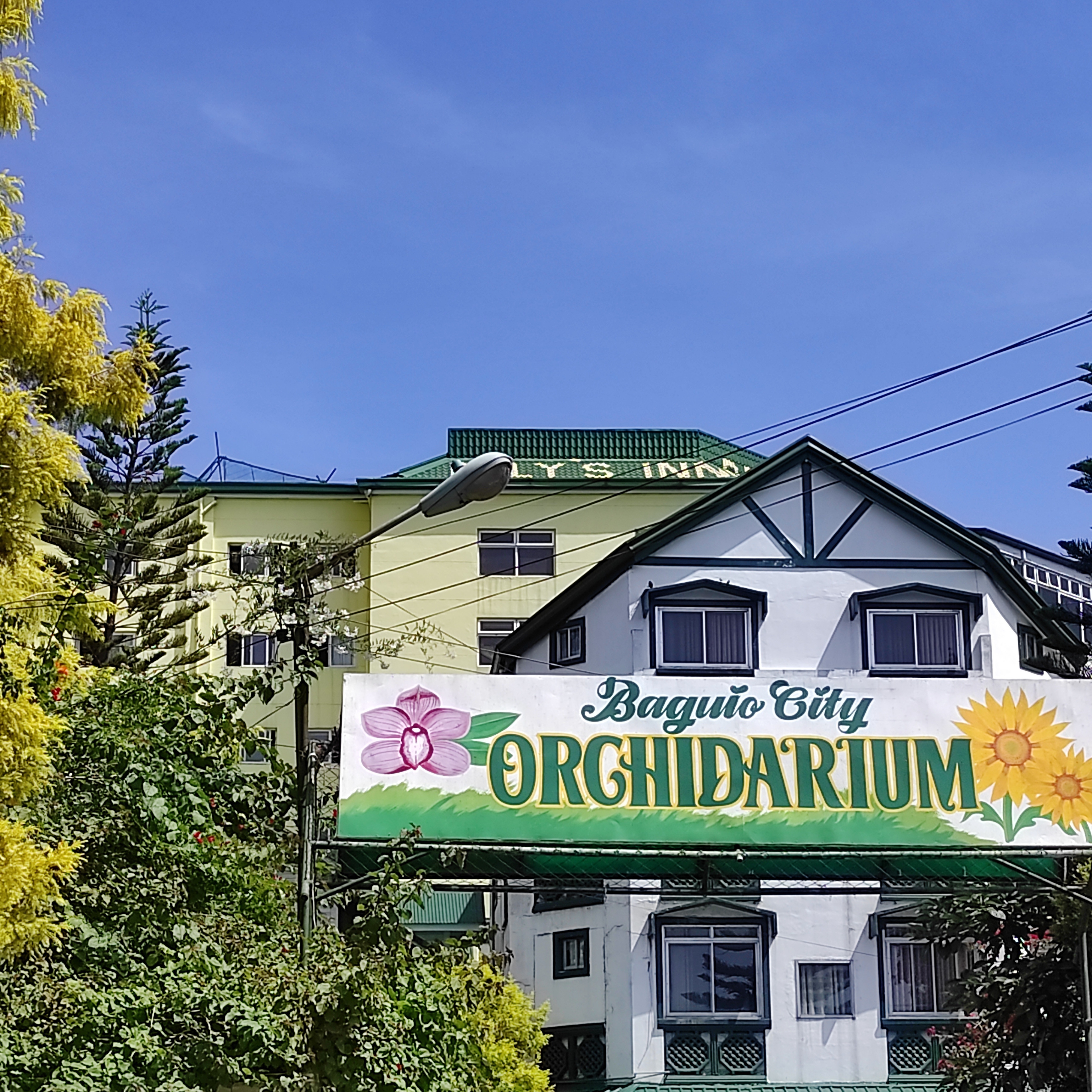 The Orchidarium in Baguio City, Philippines